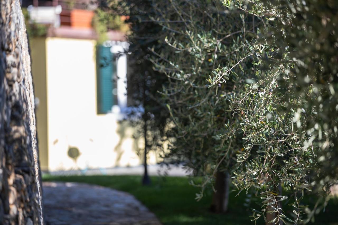 La Sterlizia Di Santa Croce Hotell Alassio Eksteriør bilde